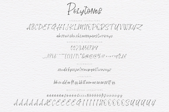 Polytones | A Brush Made Font in Script Fonts - product preview 8