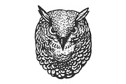 Owl bird head animal engraving