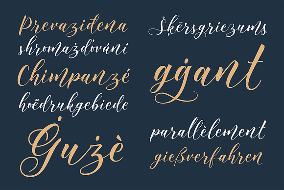 Serafina Typeface in Script Fonts - product preview 9