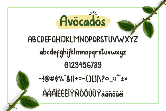 Avocados in Display Fonts - product preview 3