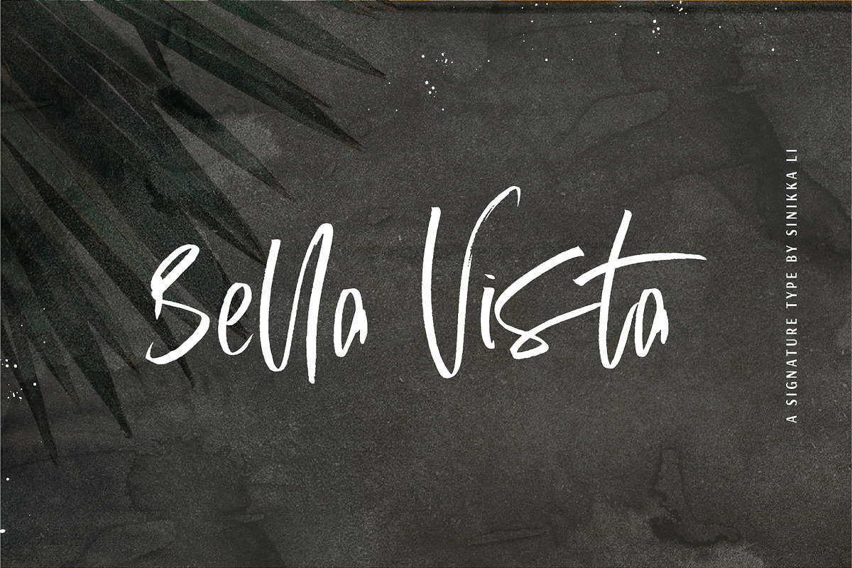 Bella Vista | Signature Type in Script Fonts - product preview 8