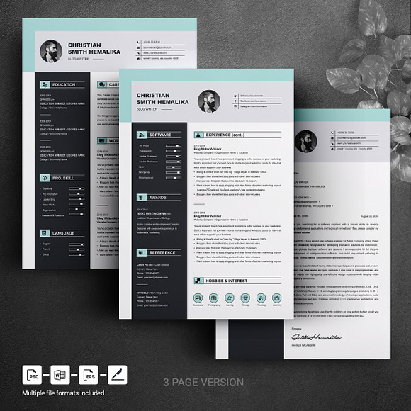 Professional Resume Template | CV in Resume Templates - product preview 3