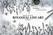Botanical Line Art