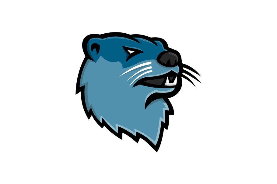 River Otter Head Mascot