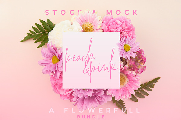 Peach & Pink | Mockup Bundle