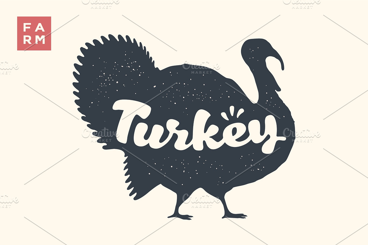 Turkey. Lettering, typography in Illustrations - product preview 8
