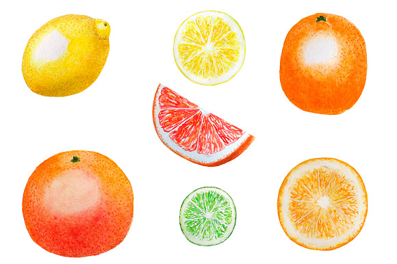 Citrus Clipart, Citrus Watercolor in Illustrations - product preview 1