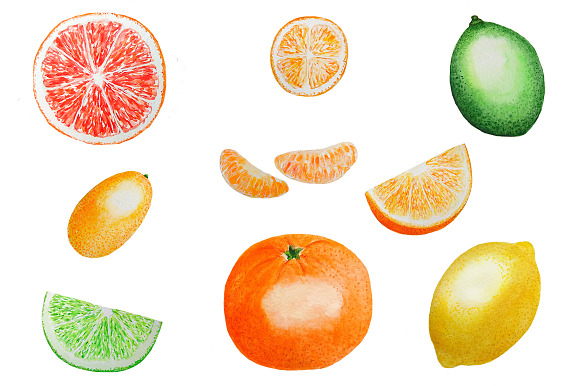 Citrus Clipart, Citrus Watercolor in Illustrations - product preview 2
