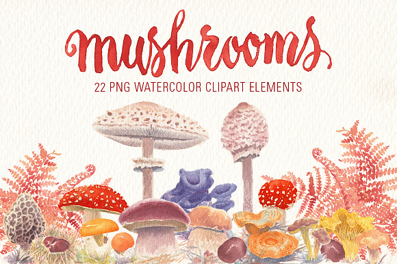 Autumn bundle watercolor clipart in Illustrations - product preview 2