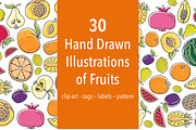 30 Hand Drawn Illustrations of Fruit