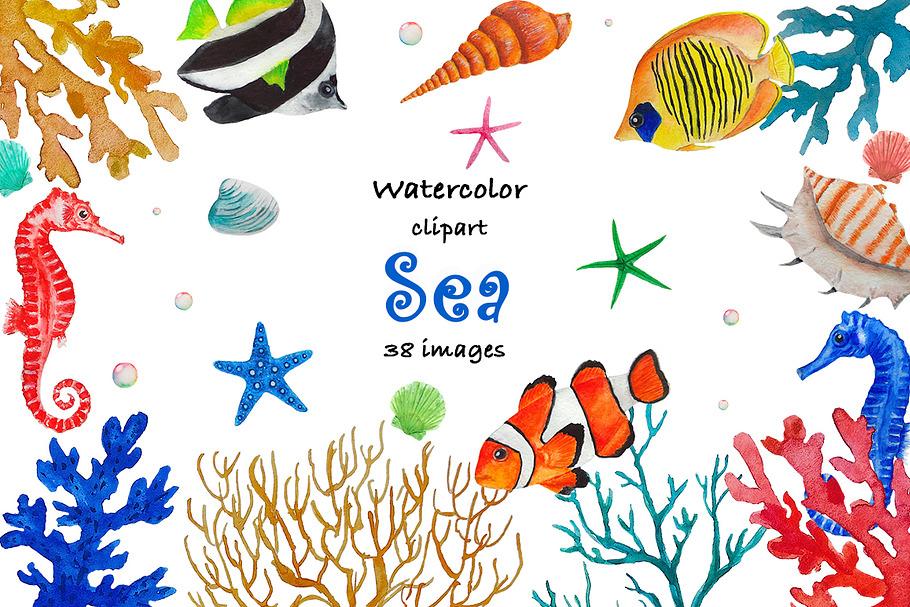 Sea Clipart Watercolor in Illustrations - product preview 8