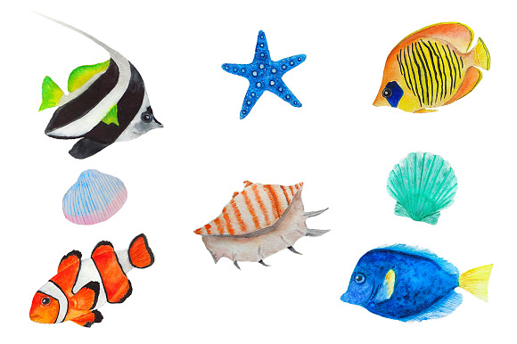 Sea Clipart Watercolor in Illustrations - product preview 1