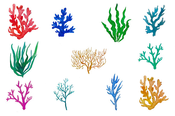 Sea Clipart Watercolor in Illustrations - product preview 4