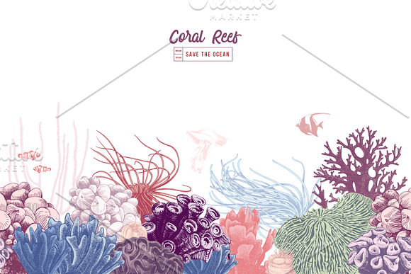 Coral reef in Illustrations - product preview 4