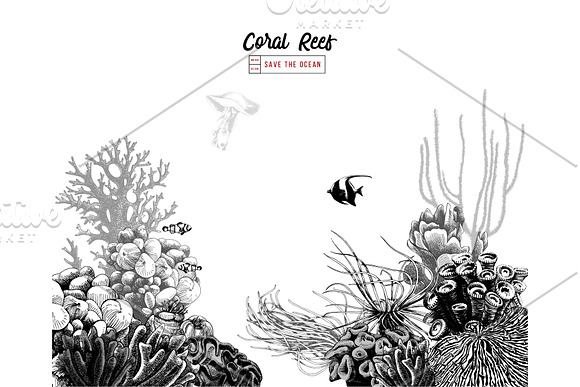 Coral reef in Illustrations - product preview 5