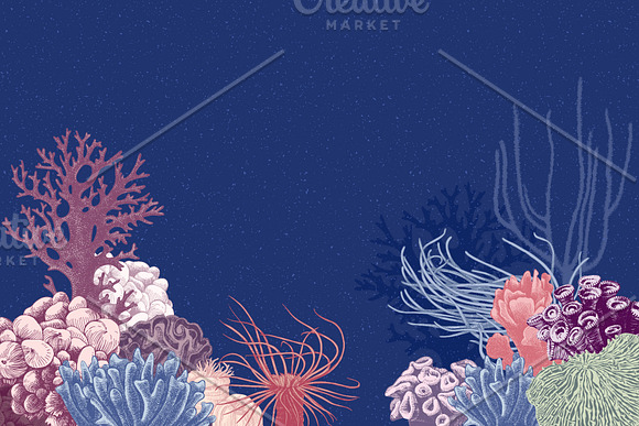 Coral reef in Illustrations - product preview 6