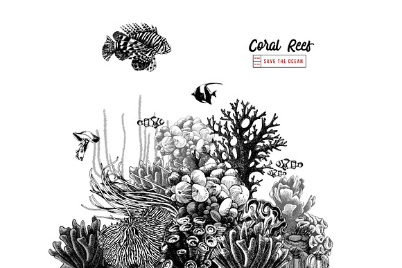 Coral reef in Illustrations - product preview 7