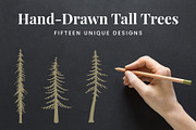 Hand-Drawn Tall Trees