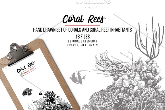 Coral reef in Illustrations - product preview 13