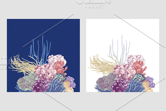 Coral reef in Illustrations - product preview 15