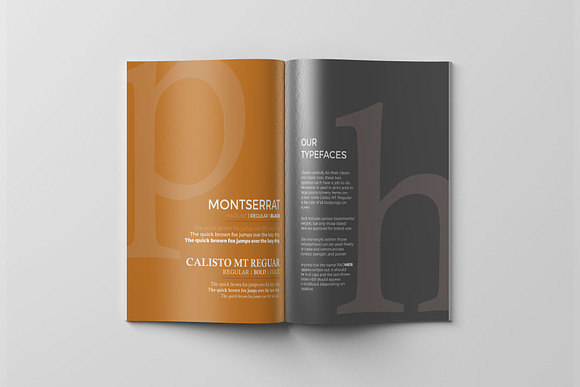 Branding Style Guide Template in Magazine Templates - product preview 7