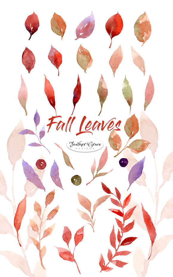 Fall Leaves, Wreaths, Frames in Illustrations - product preview 11