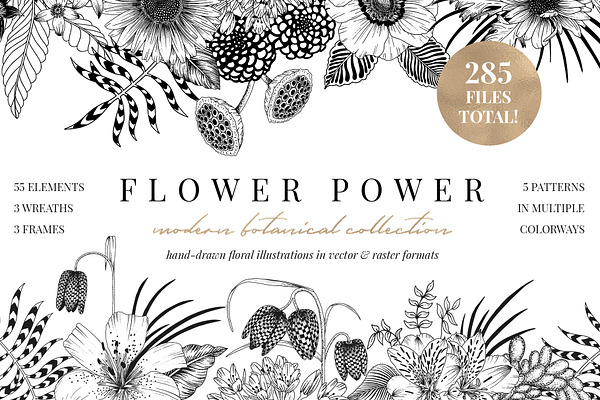 FLOWER POWER botanical illustrations