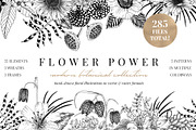 FLOWER POWER botanical illustrations