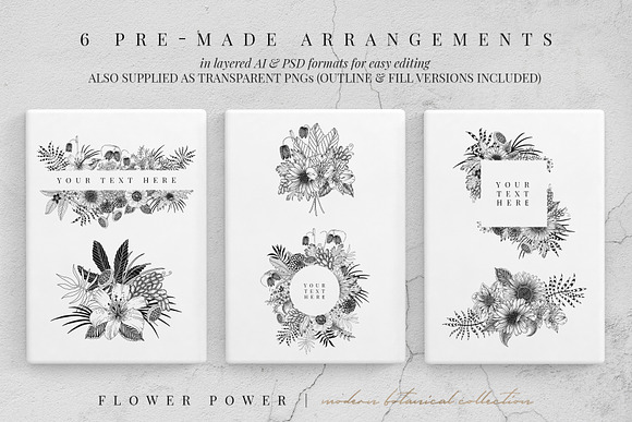FLOWER POWER botanical illustrations in Illustrations - product preview 6