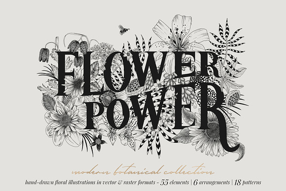 FLOWER POWER botanical illustrations in Illustrations - product preview 16