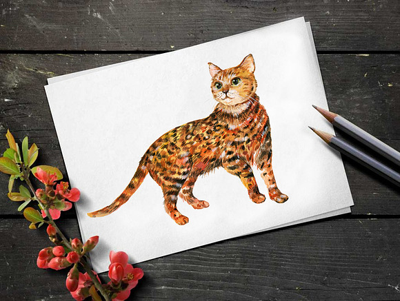 Cats . Watercolor illustrations in Objects - product preview 3