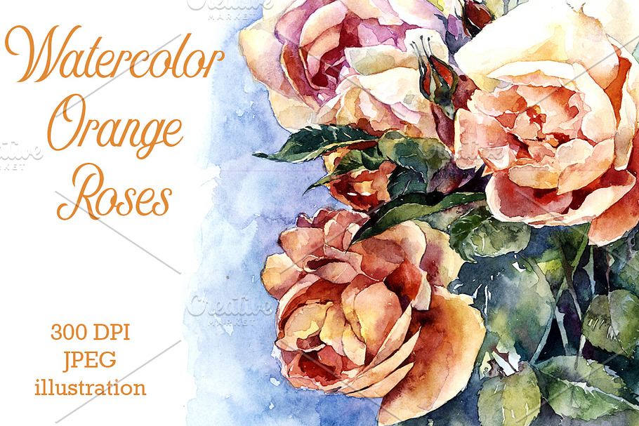 Watercolor orange roses illustration in Illustrations - product preview 8