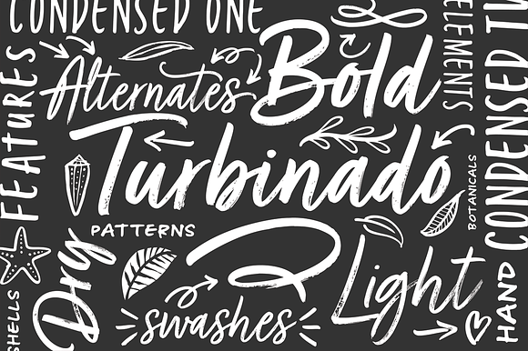 Turbinado Elements in Symbol Fonts - product preview 6
