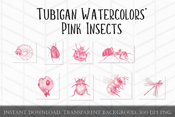 8 Pink Whimsical Insects / Bugs in Illustrations - product preview 1