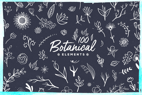 100 Handsketched Botanical Elements in Objects - product preview 1
