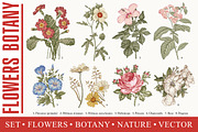 Set Flowers Botany Nature Vintage