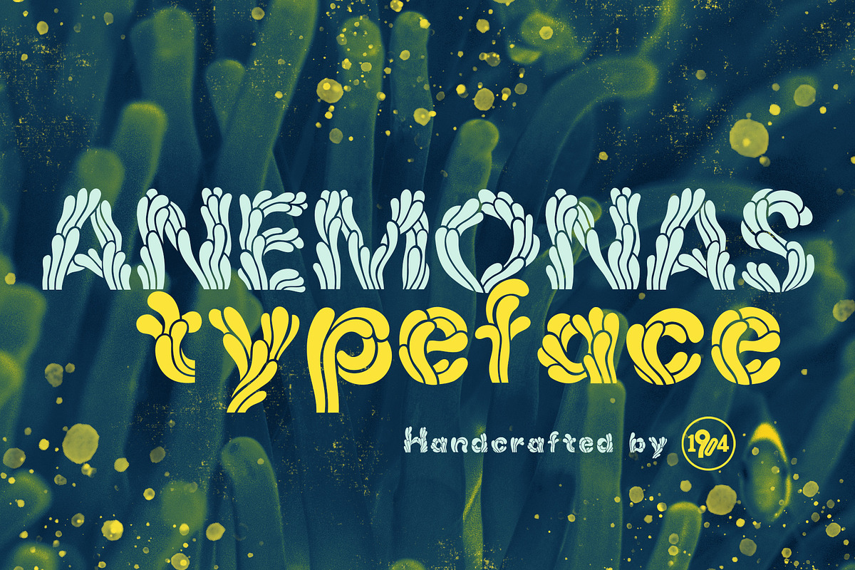 Anemonas Typeface in Display Fonts - product preview 8