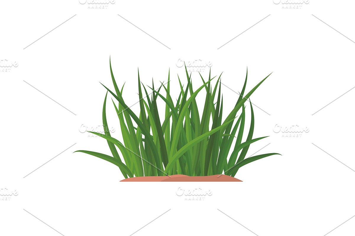 Bunches of green grass on an earthen in Illustrations - product preview 8