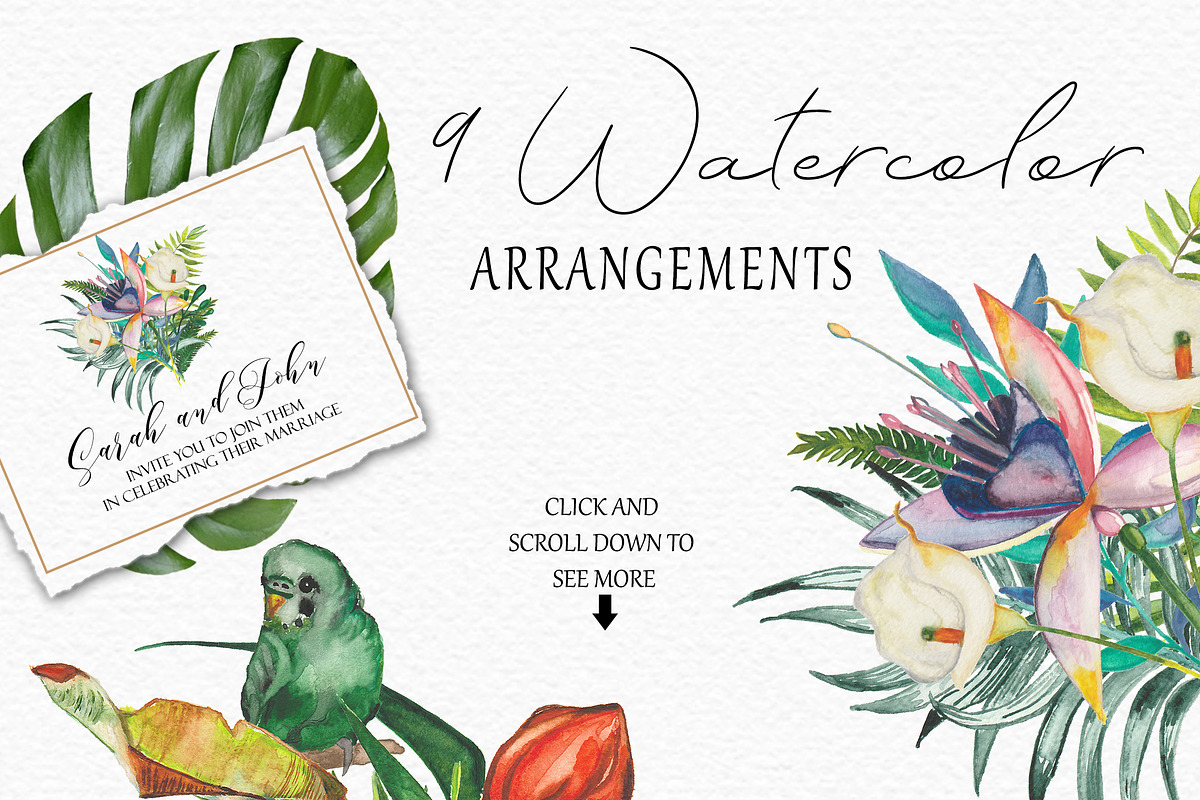 TROPICAL summer design in Illustrations - product preview 8