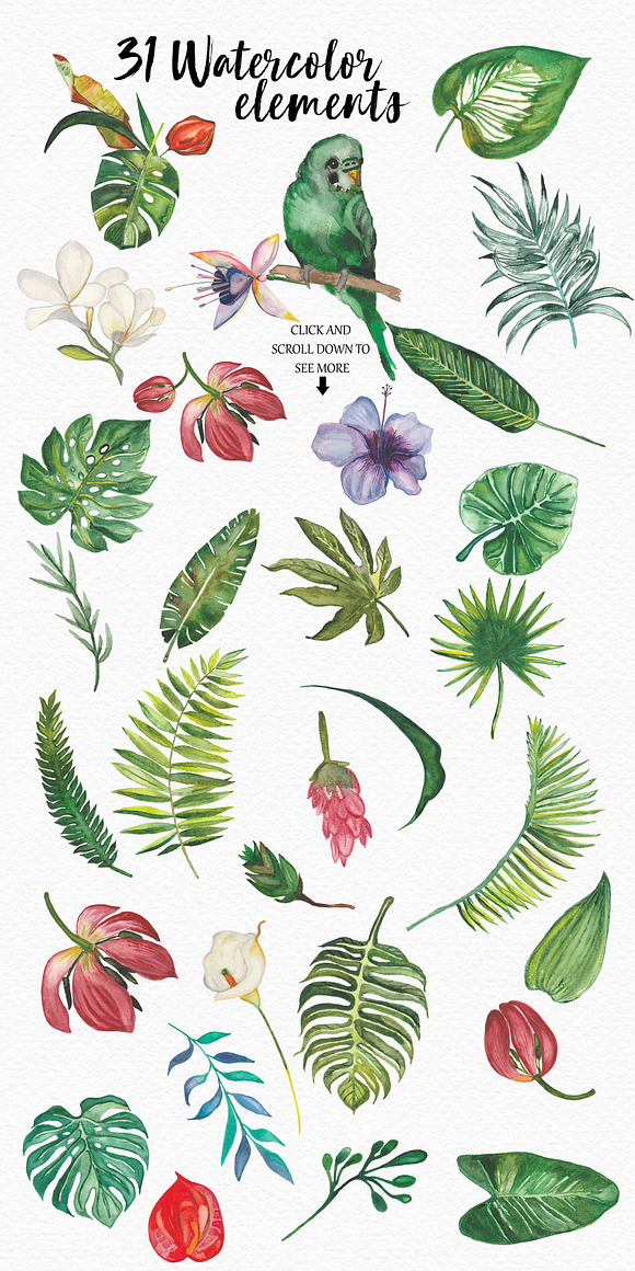TROPICAL summer design in Illustrations - product preview 5