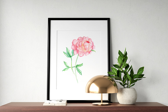 Watercolor Botanical & Texture Vol.1 in Illustrations - product preview 2