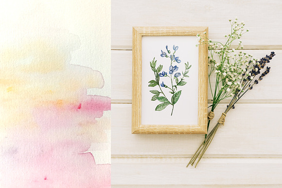 Watercolor Botanical & Texture Vol.1 in Illustrations - product preview 3