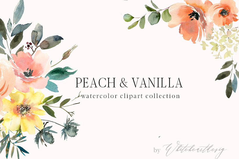 Peach & Vanilla Watercolor Clipart