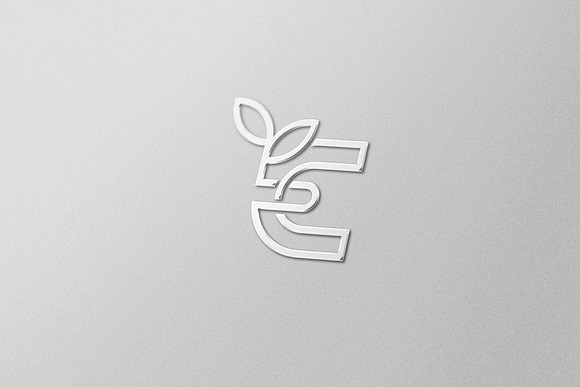 Eco Leaf Logo in Logo Templates - product preview 2