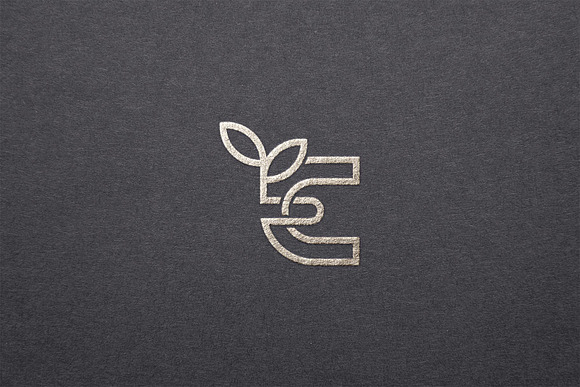 Eco Leaf Logo in Logo Templates - product preview 3