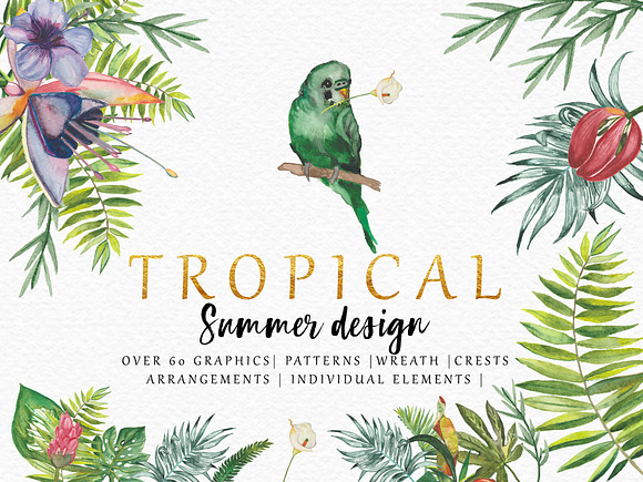 TROPICAL summer design in Illustrations - product preview 9