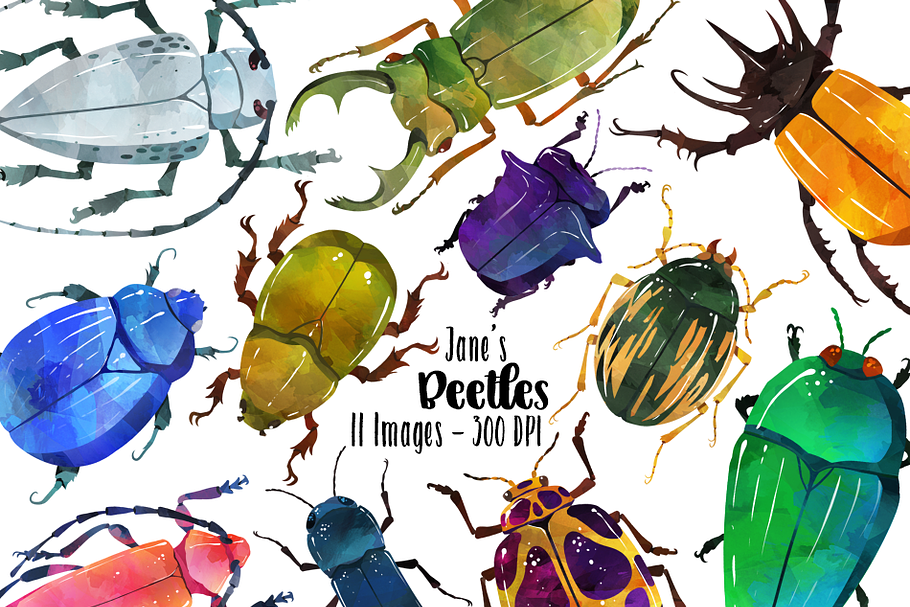 Watercolor Beetle Clipart