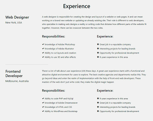 Resume WordPress Theme in WordPress Business Themes - product preview 6