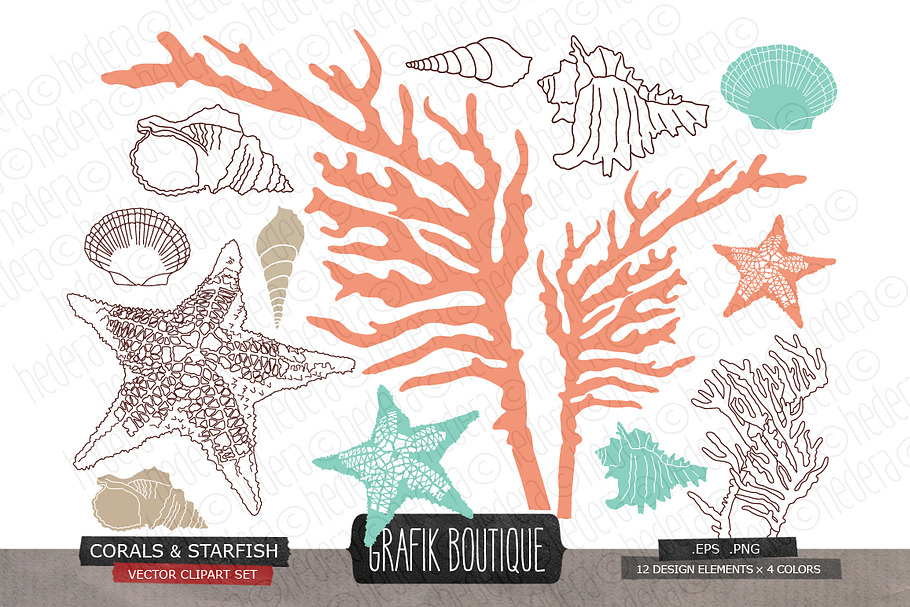 Coral starfish shell vector in Illustrations - product preview 8