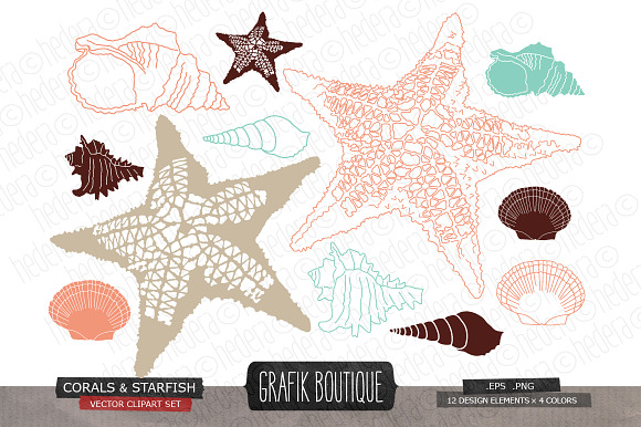 Coral starfish shell vector in Illustrations - product preview 1